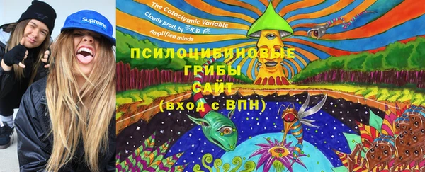 скорость Богородицк